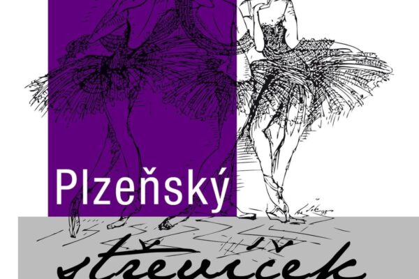 plzensky_strevicek_9